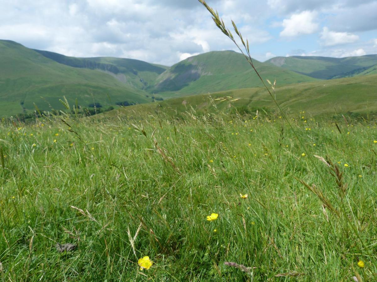 Howgill Cottage Sedbergh Buitenkant foto